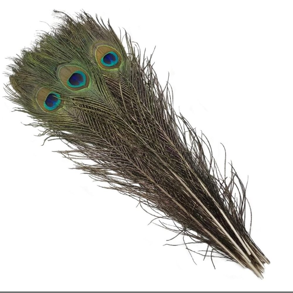Natural Peacock Feathers 10pcs